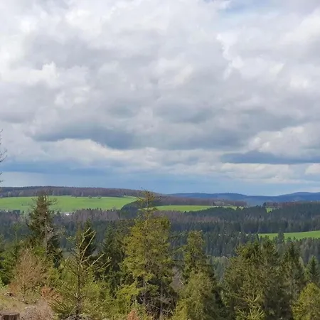Engenstein Woodland Escape *