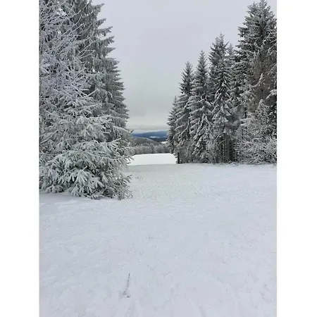 Idyllic In Lichtenau With Garden Langenbach (Thuringia)