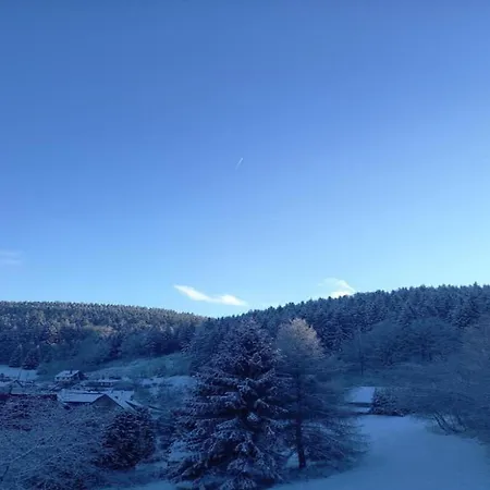 Holiday home Engenstein Woodland Escape Langenbach (Thuringia)