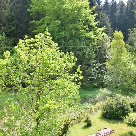 Idyllic In Lichtenau With Garden * Langenbach (Thuringia)